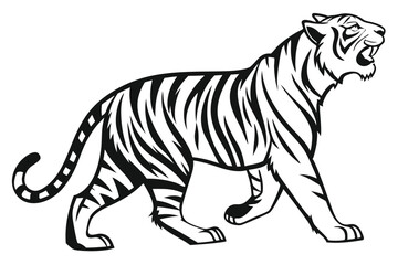 Striking monochrome tiger strides forward, its powerful form outlined against the stark white background