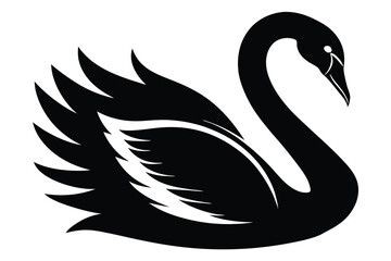 Striking black swan displays its elegant silhouette with gracefully curved neck and intricately detailed wings