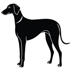 Obraz premium hound dog vector sihouette