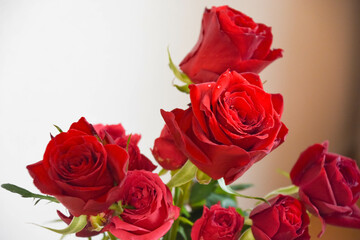 赤い薔薇