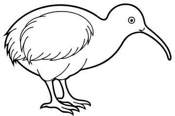 Simple Kiwi Line Drawing