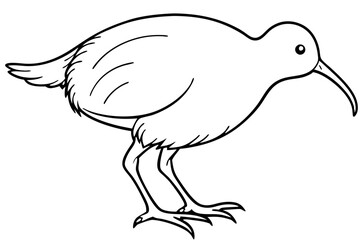 Simple Kiwi Line Drawing