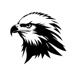eagle vector illustration