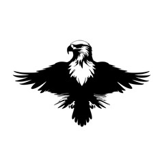 eagle vector illustration