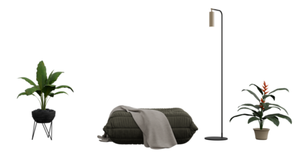 a bed  a plant  and a lamp on a white background