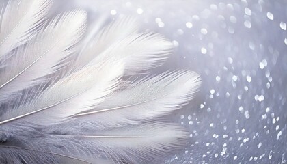 Naklejka premium Airy soft Abstract gentle natural background with bird feathers macro with soft focus on lig.jpg