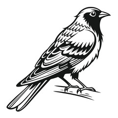 Monochrome bird with intricate feather details perches on a simple branch gracefully