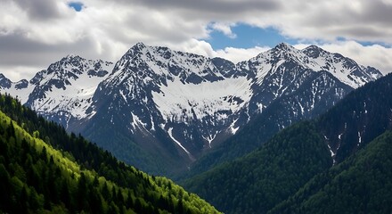 Fototapeta premium Verdant Valley Vista: Where Snow-Dusted Peaks Meet Emerald Forests