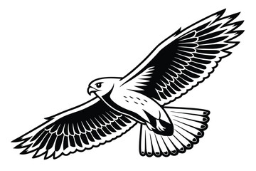Monochrome eagle soars with outstretched wings, feathers detailed in a stark line drawing