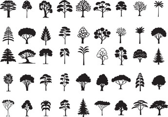 Bundle of 40 Unique Tree Silhouettes in Vector Style Variety of Tropical Evergreen Deciduous and Exotic Tree Icon Illustrations for Nature Forest and Eco Design Projects