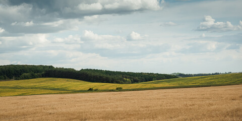 Obraz premium Hilly rural landscape on a sunny day in August. Podillia countryside landscape with few hills and agricultural fields.