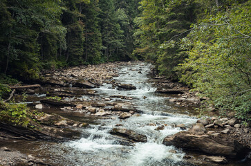 Mountain river in Carpathian mountains. Prut river near Hoverla. Mountain stream with rocky...