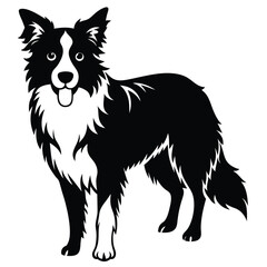 collie dog vector