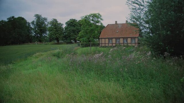 Green field and cottage in Langeland, Denmark, with calm, natural surroundings
