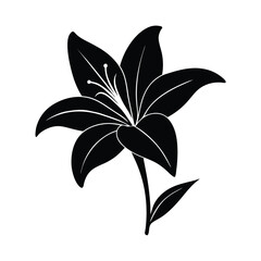 Lily flower vector silhouette