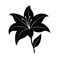 Lily flower vector silhouette