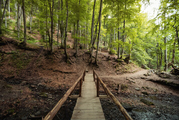 Footbridge over mountain spring in a forest. Wide angle shot of boardwalk above mountain river.