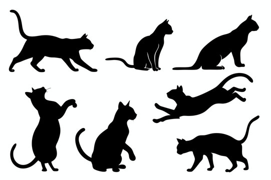 Black silhouette collection of black cat silhouettes in various poses standing sitting and jumping on a white background