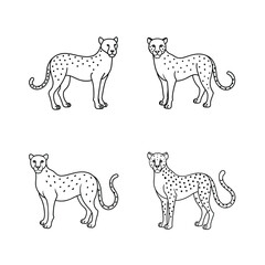 Simple outlined illustrations of four standing cheetahs in various poses on white background