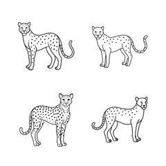 Four detailed black and white cheetah illustrations posed on white backgrounds for design projects