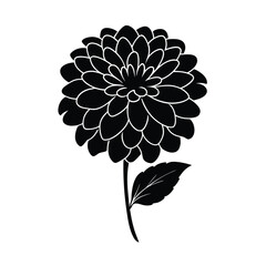 Zinnia flower vector silhouette