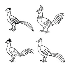 Set of four different stylized black and white pheasant bird illustrations for decorative purposes