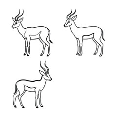 Detailed black and white vector illustrations of gazelles in various poses against a white background