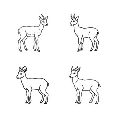 Set of four simple linear drawings of gazelles facing in different directions