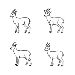 Simple line art illustrations of four gazelles showing various poses on a white background