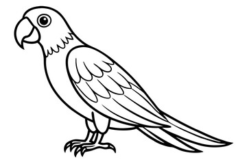 Simple Macaw Line Art