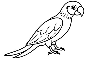 Simple Macaw Line Art