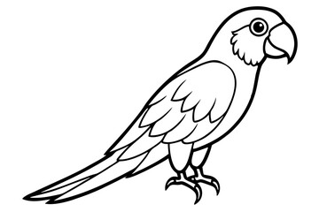 Simple Macaw Line Art