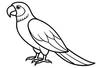 Simple Macaw Line Art