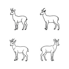 Outlined vector illustrations of gazelles in various poses isolated on a white background