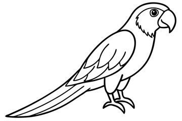 Fototapeta premium Simple Macaw Line Art