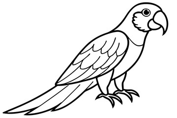 Simple Macaw Line Art