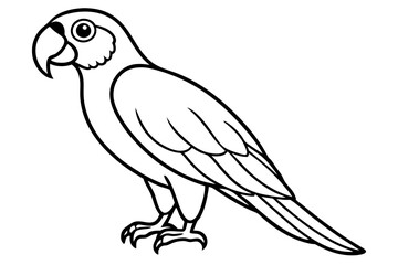 Simple Macaw Line Art