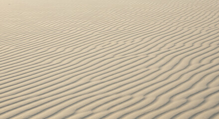 Obraz premium Dramatic patterns and textures on a vast, undulating expanse of sand dunes