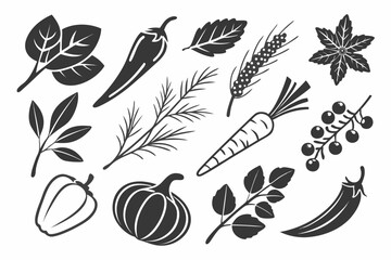 seamless pattern with feathers