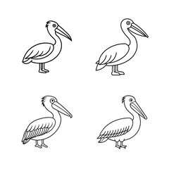 Outline illustrations of pelicans in different poses perfect for educational and illustrative purposes.