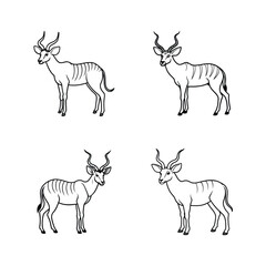 Stylized illustrations of four impalas depicted in minimalist black and white line art