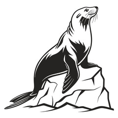 Majestic black and white sea lion gazes skyward while perched on jagged rocks