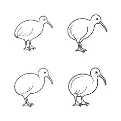 Set of four detailed black and white outline illustrations of the kiwi bird