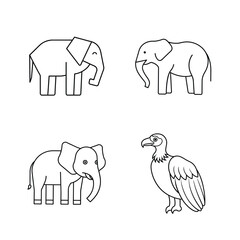 Simple outline illustrations of elephants and vulture in black and white for educational usage
