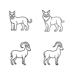 Minimalist line art illustrations of lynx, mountain goats, and wild cat outlines on white background