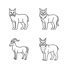 Minimalist black and white vector illustrations of lynx and alpine ibex animals