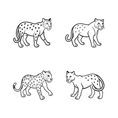 Black and white illustrated leopards in various poses isolated on a clean white background