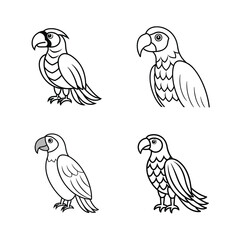 Four illustrated black and white parrot birds in different poses for design elements