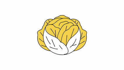 Yellow Cabbage Illustration