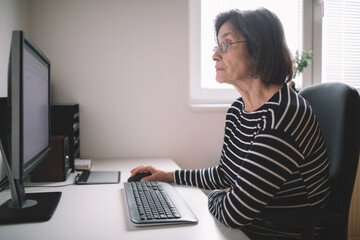 Senior woman working on the computer	